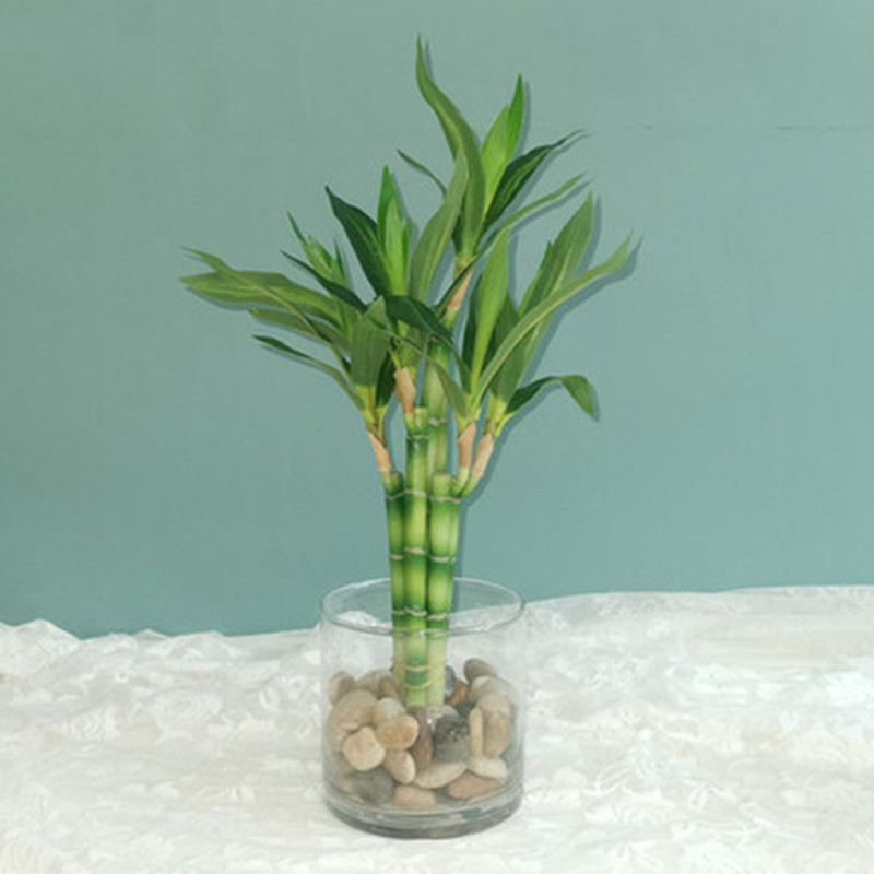 New 40cm rFtificial Lucky Bamb - Desk Setup Plant 评论和价格