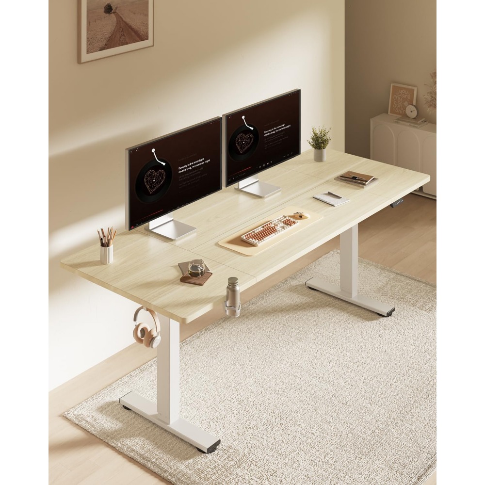 FLEXISPOT 63x32 Inch Electric  - Desk Setup In Office 评论和价格
