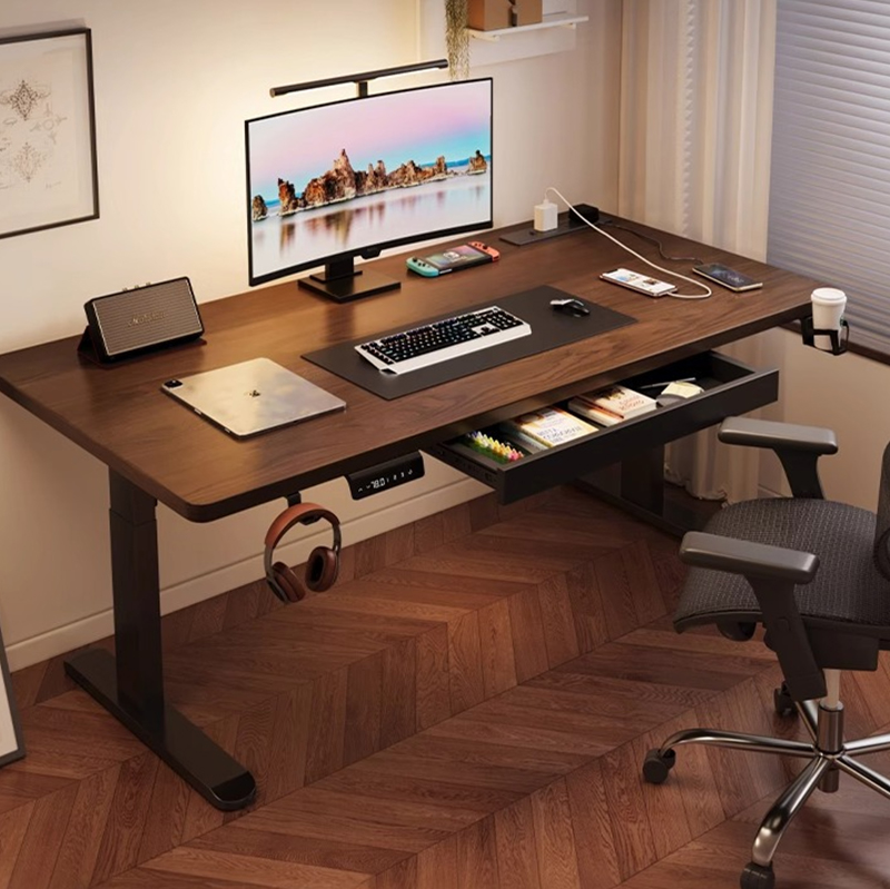 Modern Iron Dual Motor Electri - Desk Setup In Office 评论和价格