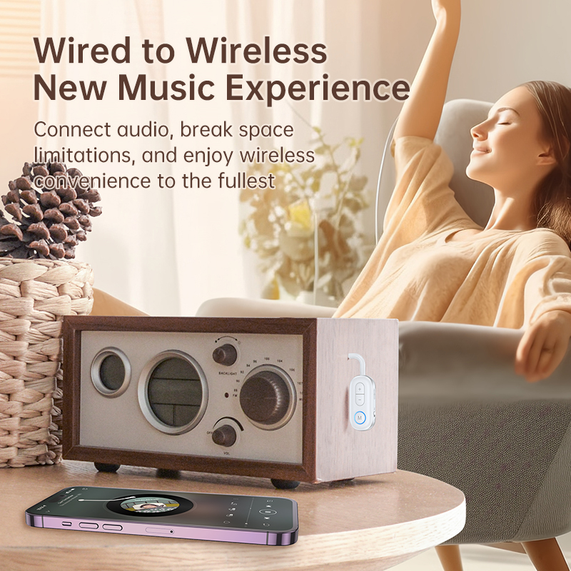 Bluetooth 5.3 Audio Transmitte - Desk Hifi Setup 评论和价格