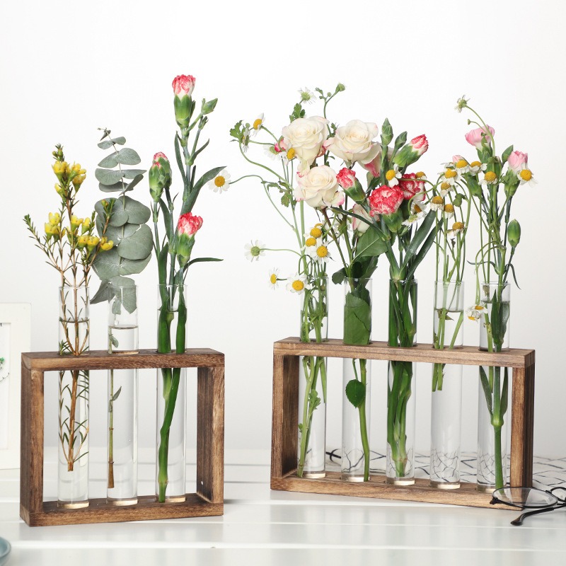 5-Tube Glass Hydroponic Plante - Desk Setup Plant 评论和价格