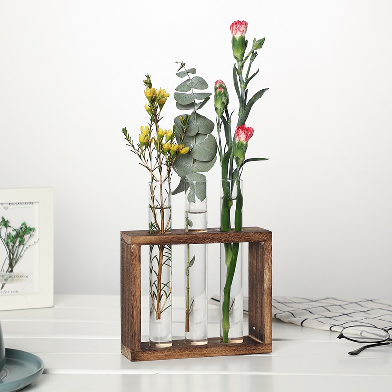 5-Tube Glass Hydroponic Plante - Desk Setup Plant 评论和价格