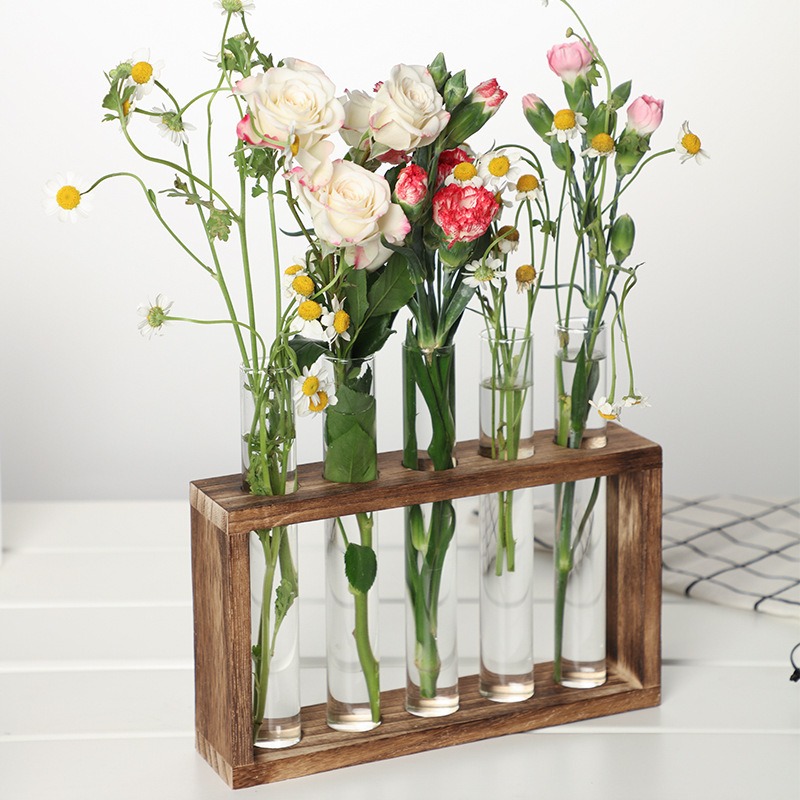 5-Tube Glass Hydroponic Plante - Desk Setup Plant 评论和价格